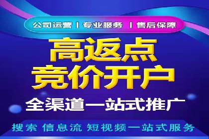 百度竞价广告投放案例对比